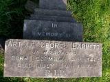 image of grave number 172740